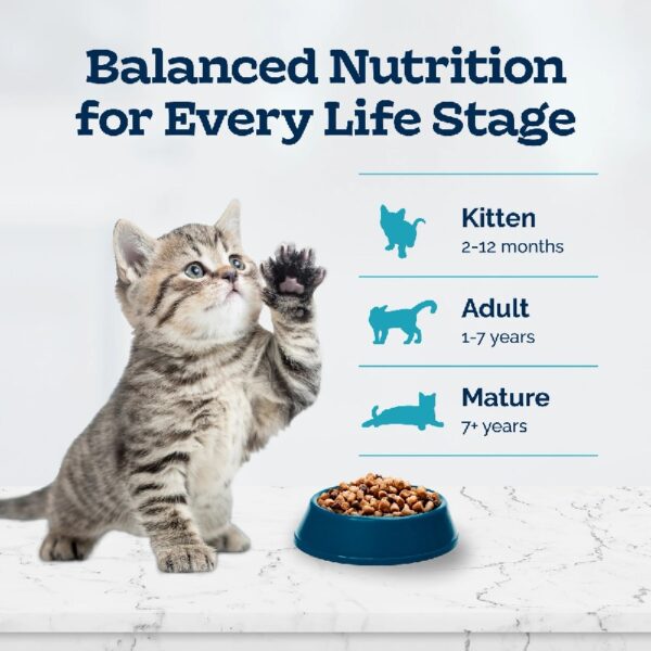 Blue Buffalo  Natural Kitten Dry Cat Food, Chicken and Brown Rice Recipe, 5-lb. Bag
