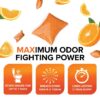 TST MAX Camper/RV Toilet Treatment Drop-INs