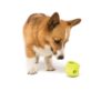 West Paw  Toppl Large 4