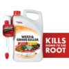 Weed & Grass Killer, Non-Selective Herbicide with AccuShot Sprayer, 1.33 Gal.