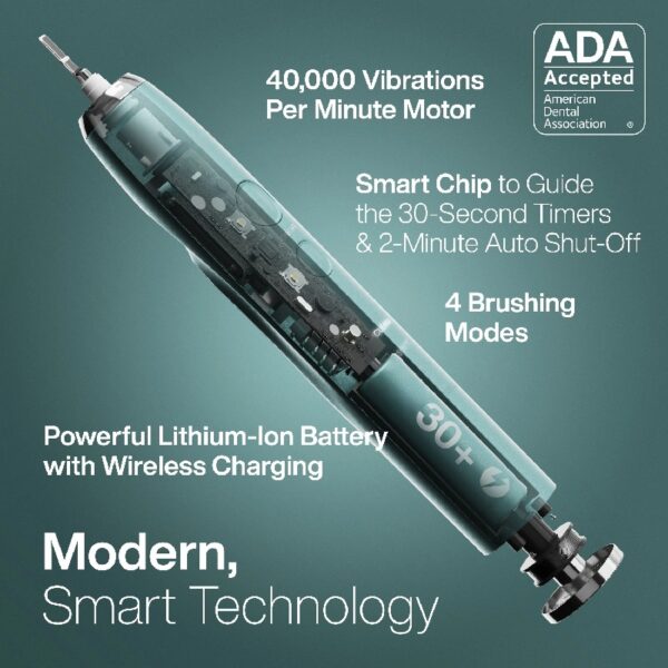 Black Series Electric Toothbrush - Rechargeable, 4 Modes, Travel Case, 8 Brush Heads