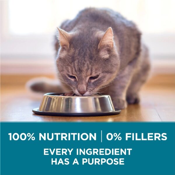 Purina  Tender Select Blends Dry Cat Food, Salmon, 7 lb Bag