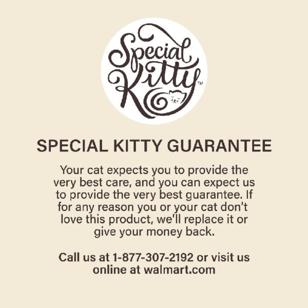 Special Kitty Surf & Turf Pate Wet Cat Food Variety Pack, 5.5 oz Cans (40 Pack)