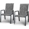 Outdoor Patio Dining Chairs Set of 2,Breathable Seat Fabric and Alloy Steel Frame for Backyard Porch Garden Sunroom , Dark Gray