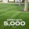 Green Max Lawn Food, Fertilizer Plus Iron Supplement, 5,000 sq. ft., 16.67 lbs.