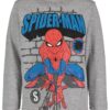 Spider-Man Little Boys 2 Pack Long Sleeve T-Shirts Toddler to Big Kid