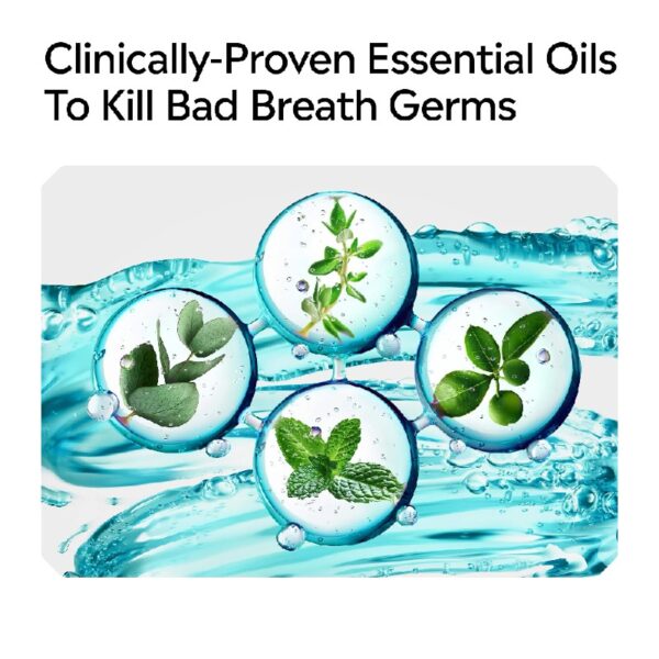 (3 pack) Zero Alcohol-Free Mouthwash Oral Care for Bad Breath, Cool Mint, 1.5 L