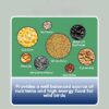 Bird Food Gourmet Blend, 15.4 Pounds - with White & Red Millet, Cut Corn, Wheat, Black Oil Sunflower, Striped Sunflower, Peanuts & Safflower for Blue Jays, Northern Cardinals and More