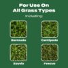 Turf Builder Lawn Fertilizer, 5,000 sq. ft., 12.5 lbs.