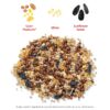 (2 pack) Economy Mix Wild Bird Feed, Value Bird Seed Blend, Dry, 20 lb. Bag