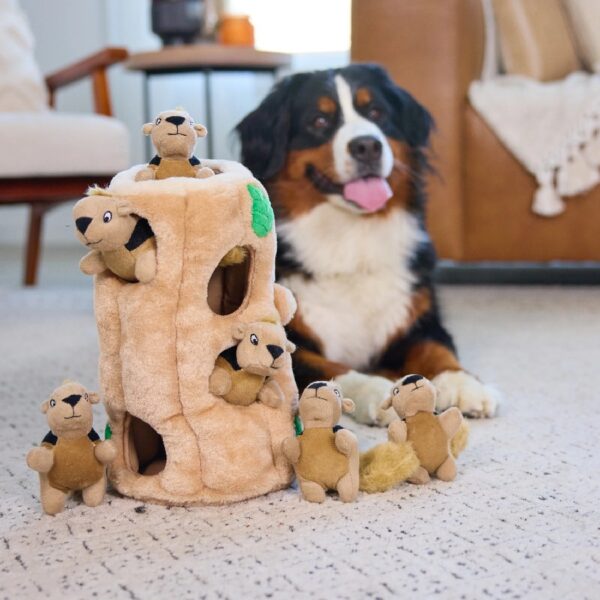 Hound Hide A Squirrel Plush Dog Toy Puzzle, XL