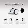 Instachew Purechase Smart Cat Toy, Interactive Automatic Mouse shaped Toy for Pets, App Enabled with Adjustable Speed, Flip Modes, Replaceable Plush Tail and USB Charging for Kittens and Dogs