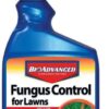 701230A Effective Fungicide with Disease Prevention Fungus Control for Lawns, 10-Pound, Granules