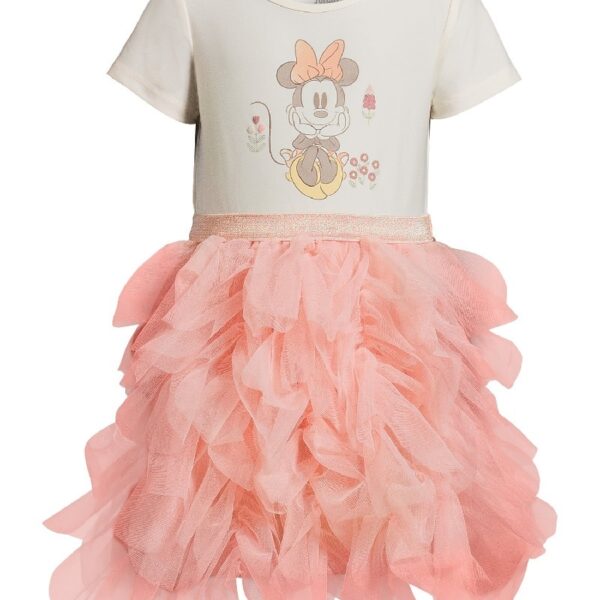 Disney Frozen Toddler Girl Short Sleeve Tutu Dress, Sizes 12M-5T
