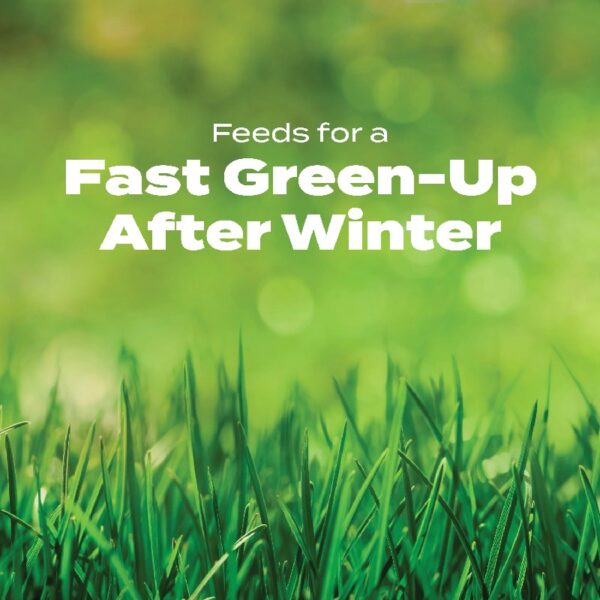 Turf Builder Halts Crabgrass Preventer with Lawn Food, 13.35 lb.