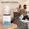 2000ml Portable Dehumidifier, Auto Defrost, Ultra Quiet for Home Large Room Bathroom Garage,Auto Power Off,LED Indicator,clearance sales,White
