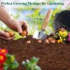 10lb of  100% Organic Coco Coir Bricks with Low EC and pH Balance High Expansion Coco Fiber for Herbs, Flowers,Plants Gardening Renewable Coconut Soil