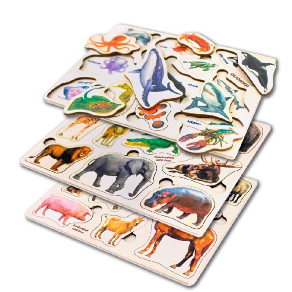 Toddlers Educational Toys Learning Games Jigsaw Puzzles, Wood, 3 Count