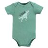 Short Sleeve Bodysuits, 5-Pack, Newborn- 24 Months