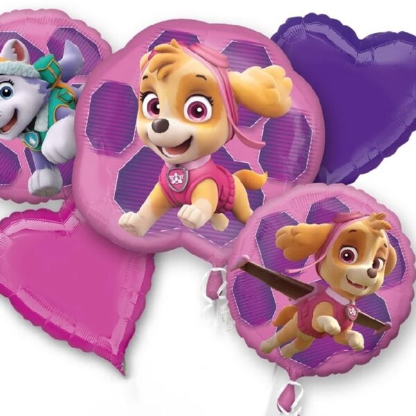Anscam Paw Patrol Girls Skye and Everest Party Decoration Kit