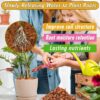 8 Pcs Coco Coir Chips Bricks Growing Medium, Low EC, pH Balanced, 100% Organic Coconut Fiber, 1.1LB