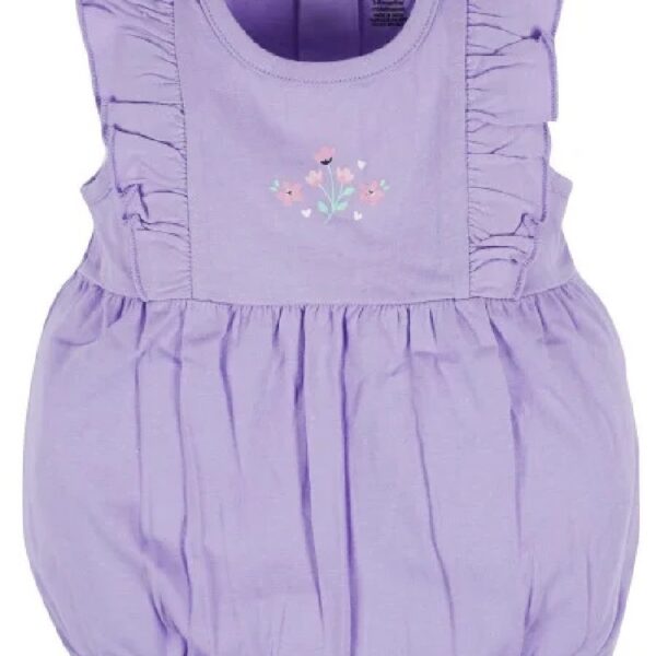 Brand Baby Girl Ruffle Sleeve Rompers, 3-Pack, Sizes, 0/3 Months - 24 Months
