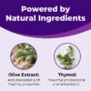 Bacterial Vaginosis Symptoms Ointment, 2 Day Dose