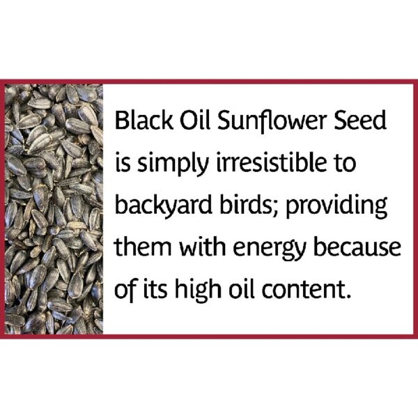 Select Black Oil Sunflower Seed Wild Bird Dry Feed, 40 lb. Bag