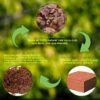 10lb of  100% Organic Coco Coir Bricks with Low EC and pH Balance High Expansion Coco Fiber for Herbs, Flowers,Plants Gardening Renewable Coconut Soil
