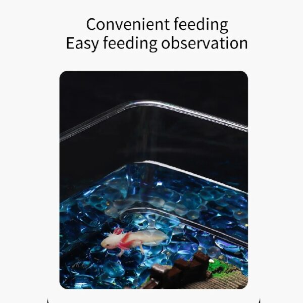 WINDLAND Clear Fish Habitat for Aquatic Pets Salamanders and Plant Life