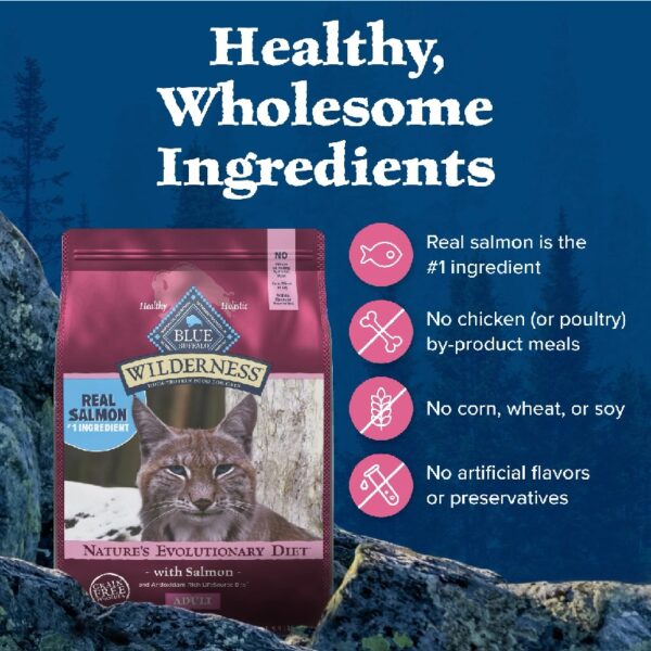 Blue Buffalo Wilderness Natural High Protein Dry Food for Adult Cats, Salmon, 4-lb Bag