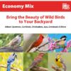 (2 pack) Economy Mix Wild Bird Feed, Value Bird Seed Blend, Dry, 20 lb. Bag