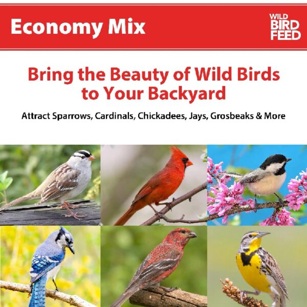 (2 pack) Economy Mix Wild Bird Feed, Value Bird Seed Blend, Dry, 20 lb. Bag