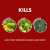 Weed & Grass Killer, Non-Selective Herbicide with AccuShot Sprayer, 1.33 Gal.