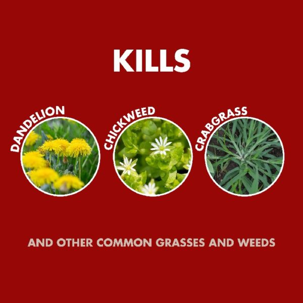Weed & Grass Killer, Non-Selective Herbicide with AccuShot Sprayer, 1.33 Gal.