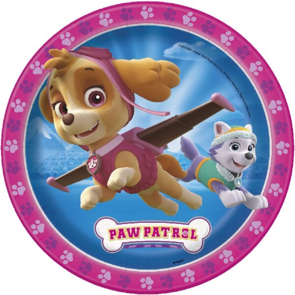 Anscam Paw Patrol Girls Skye and Everest Party Decoration Kit