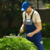 Loppers Hedge Clippers & Pruners Set, 3PCS Hedge Shears Garden Tools, Heavy Duty Tree & Shrub Care Kit for Yard, Lawn & Garden, Branch Cutter Tree Trimmer for Indoor  & Outdoor