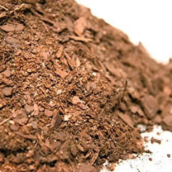 Bonsai Soil by 8qts. | Premium All-Purpose Mix | Perfect for All Bonsai Tree Varieties