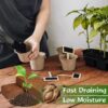 10lb of  100% Organic Coco Coir Bricks with Low EC and pH Balance High Expansion Coco Fiber for Herbs, Flowers,Plants Gardening Renewable Coconut Soil
