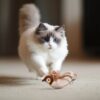 Risehigh Cat Toys for Indoor Cats Interactive Flapping Chirping Bird Kitten Toy Touch Activated Rechargeable Automatic with Catnip