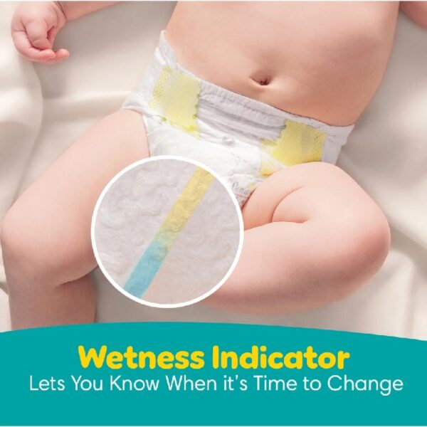 Swaddlers Diapers, Size 4, 66 Count (Select for More Options)