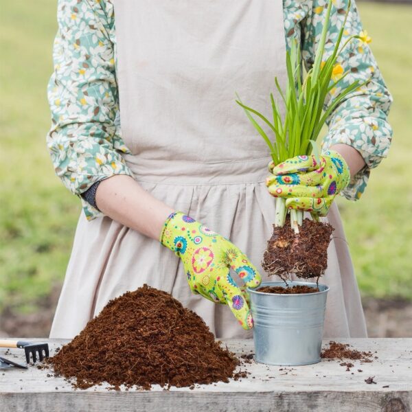 10lb of  100% Organic Coco Coir Bricks with Low EC and pH Balance High Expansion Coco Fiber for Herbs, Flowers,Plants Gardening Renewable Coconut Soil