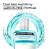 (3 pack) Zero Alcohol-Free Mouthwash Oral Care for Bad Breath, Cool Mint, 1.5 L