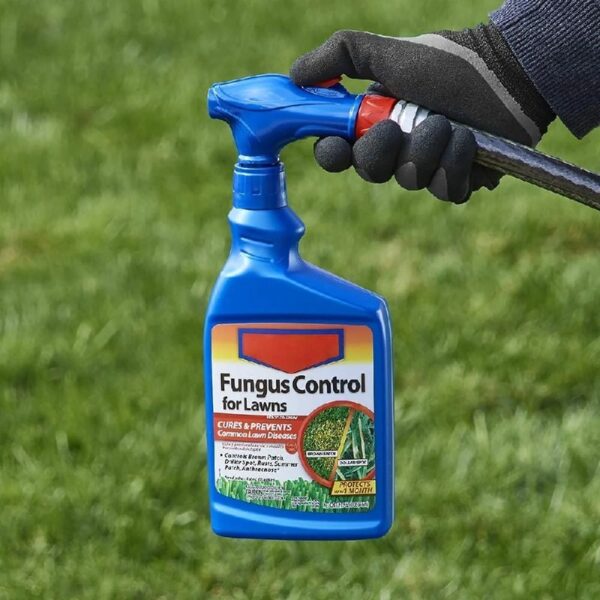 701230A Effective Fungicide with Disease Prevention Fungus Control for Lawns, 10-Pound, Granules