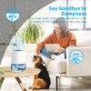 Dehumidifier Portable and Ultra Quiet with Automatic Defrosting for Home 1000ML(2200 Cubic Feet)