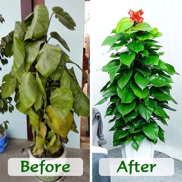 10lb of  100% Organic Coco Coir Bricks with Low EC and pH Balance High Expansion Coco Fiber for Herbs, Flowers,Plants Gardening Renewable Coconut Soil