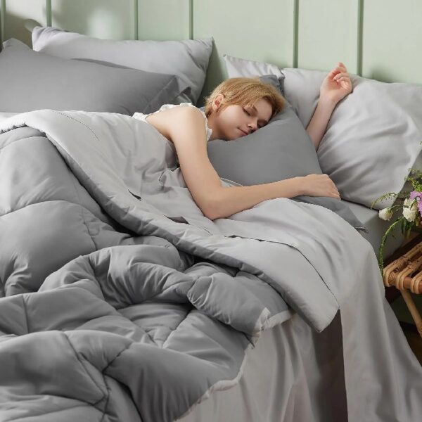 Light Purple Queen Comforter Set - 7 Pieces Reversible Queen Bed in a Bag, Queen Bed Set Light Purple and Grey with Comforters, Sheets, Pillowcases & Shams