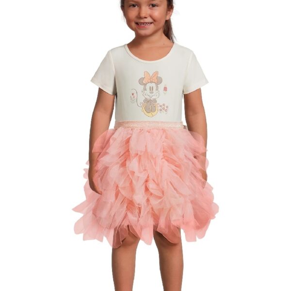 Disney Frozen Toddler Girl Short Sleeve Tutu Dress, Sizes 12M-5T