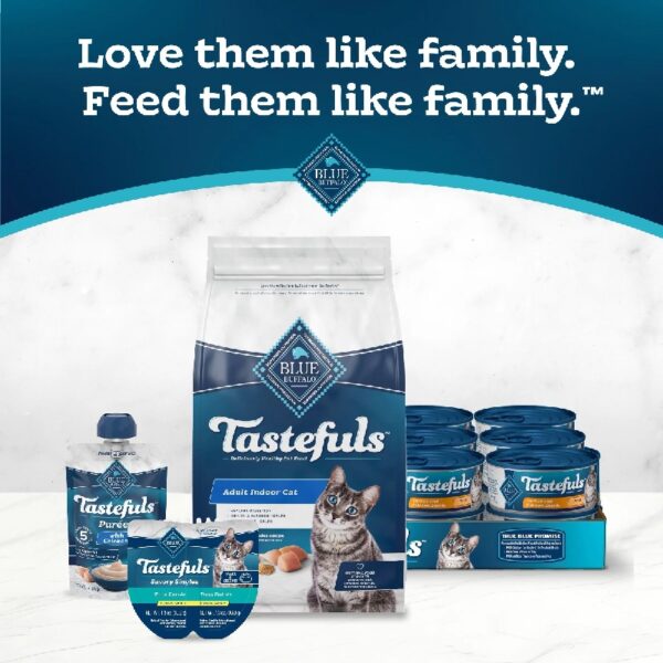 Blue Buffalo Indoor Health Natural Adult Dry Cat Food, Chicken & Brown Rice, 5-lb