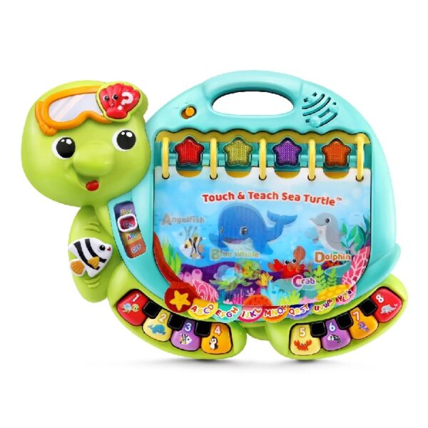 Turtle Baby and Toddler Toys